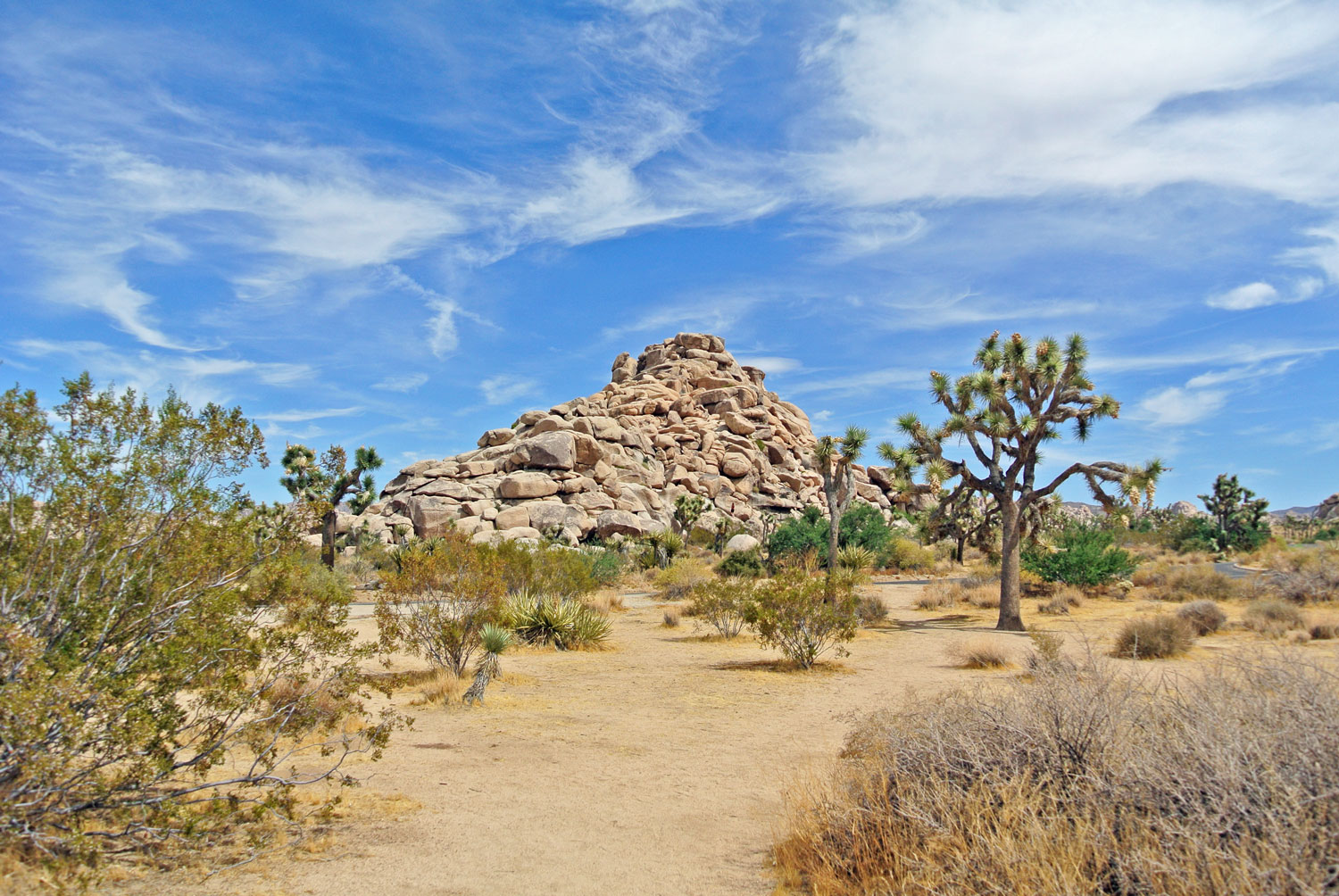 Was Kostet Einen Nacht Im Joshua Tree Park Nationalpark www.christineunterwegs.com