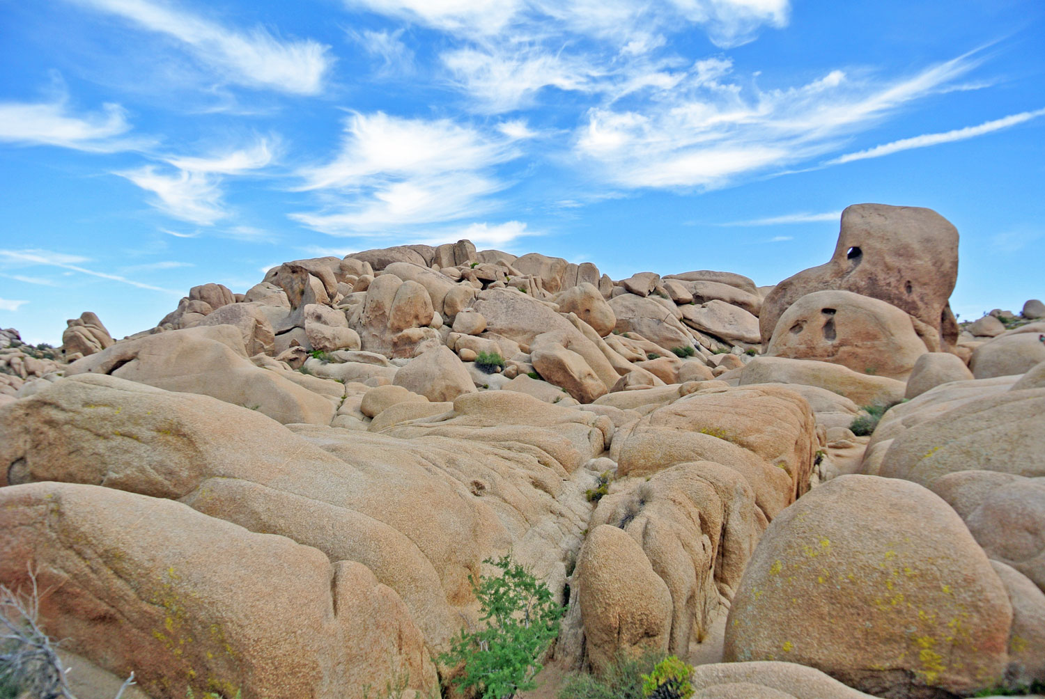 Was Kostet Einen Nacht Im Joshua Tree Park www.christineunterwegs.com
